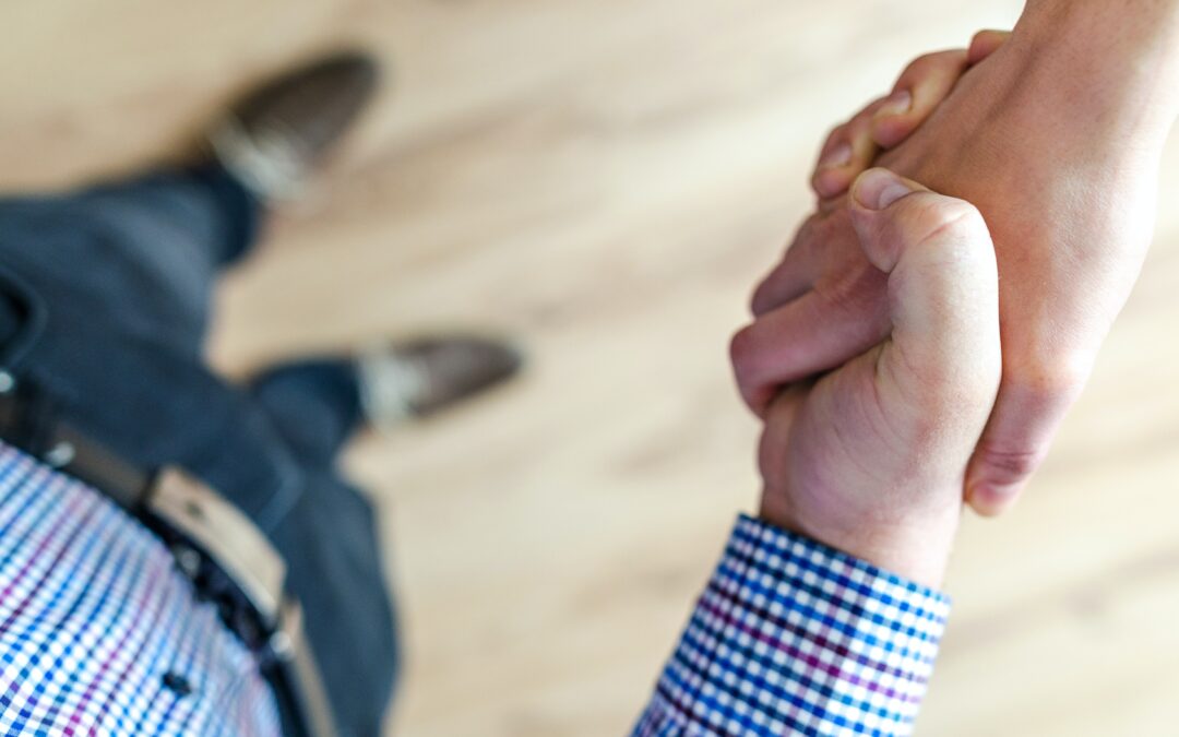How do I know I can trust my web designer?